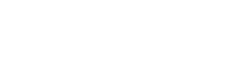Auckland's SeePort Festival
